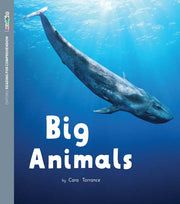 ORFC Oxford Decodable Book 46 - Big Animals (Pack of 6)