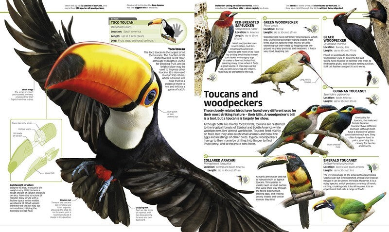 Knowledge Encyclopedia: Animals!