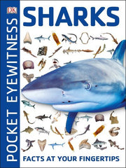 DKfindout! Sharks