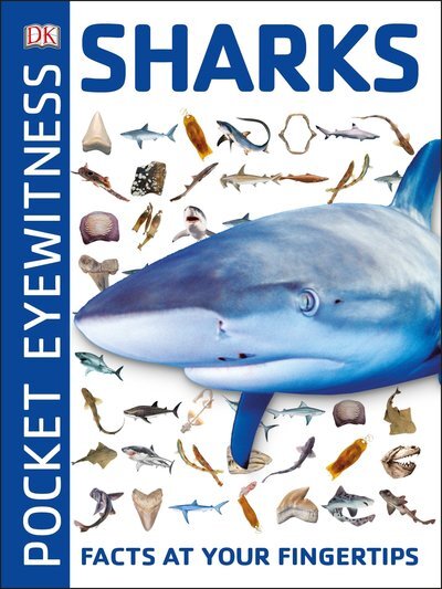DKfindout! Sharks