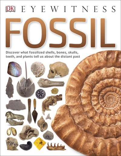 Eyewitness Fossil