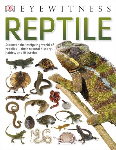Eyewitness Reptile