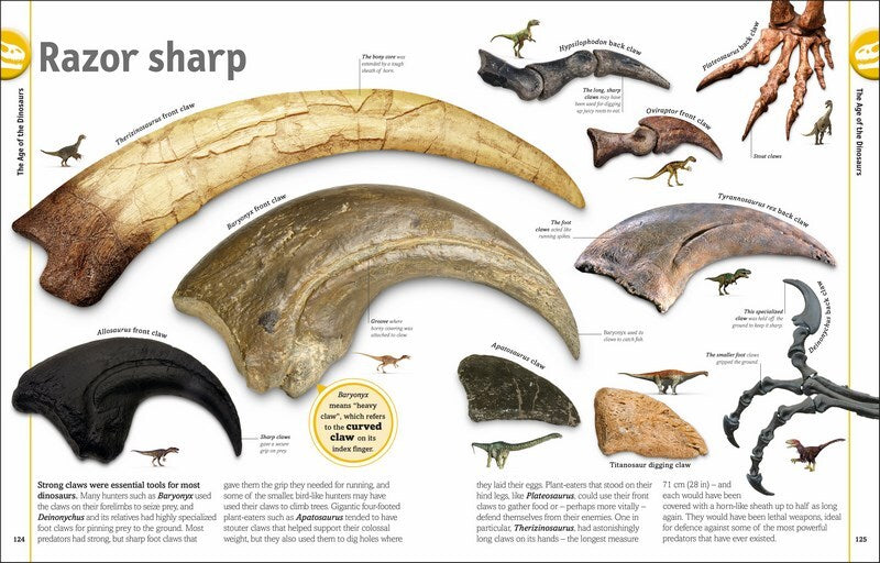 The Dinosaurs Book