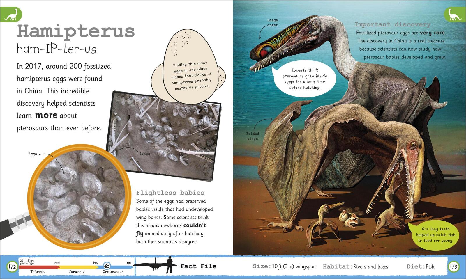 My Encyclopedia Of Very Important Dinosaurs