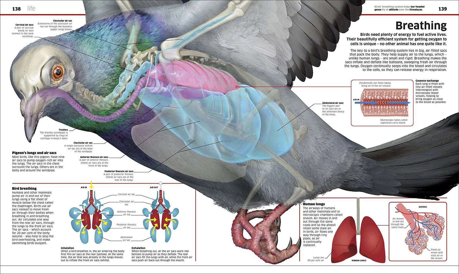 Knowledge Encyclopedia Science!