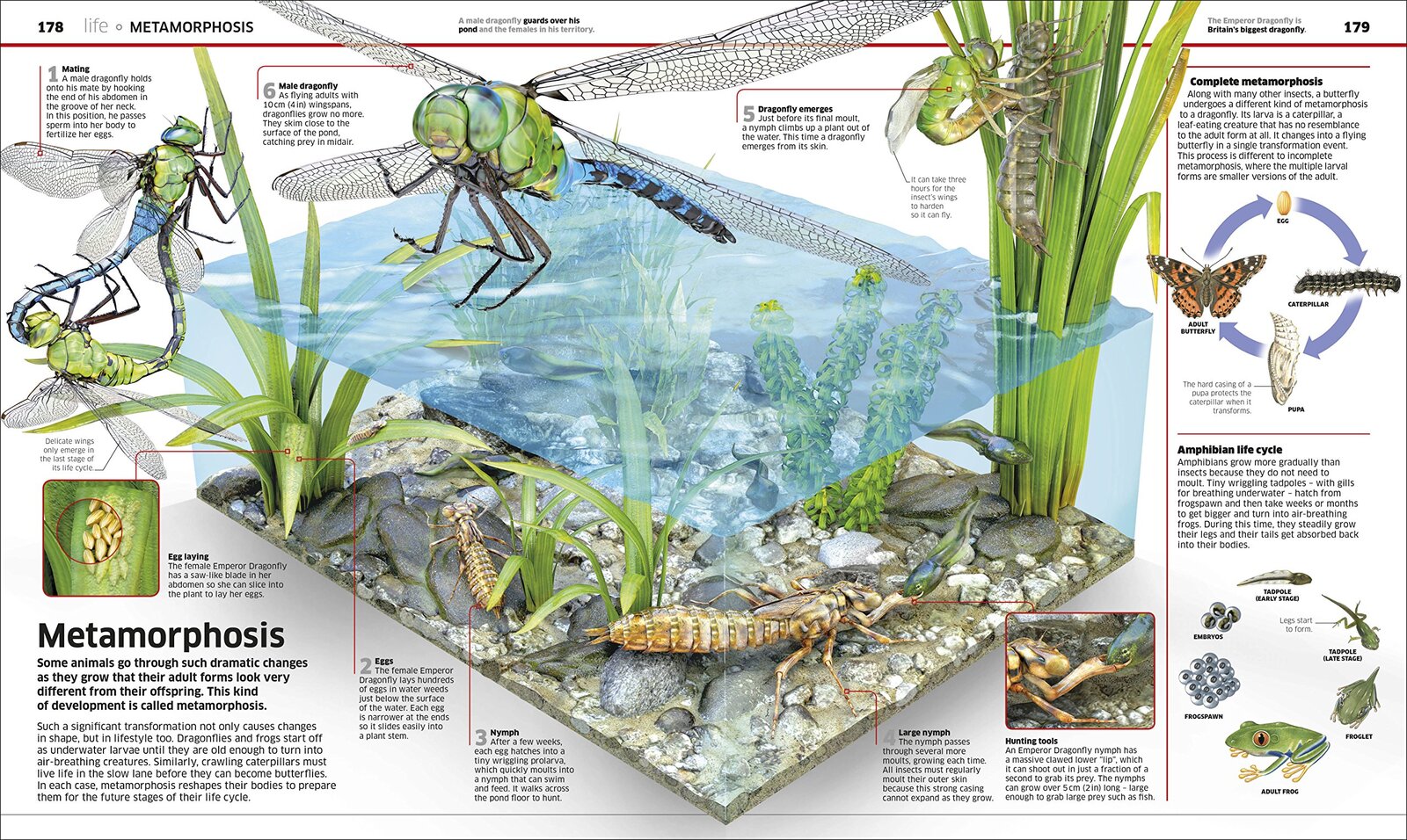 Knowledge Encyclopedia Science!