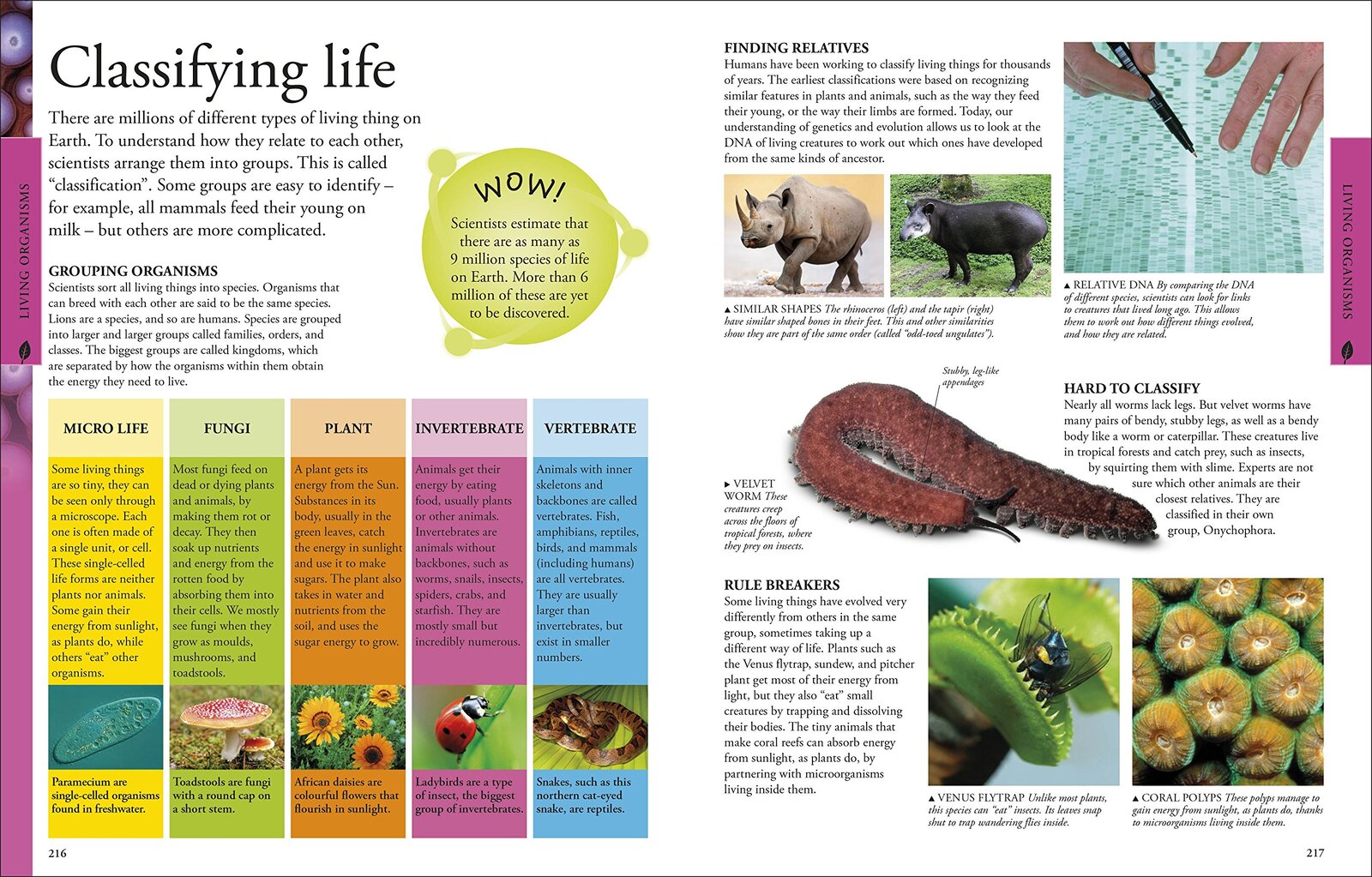 Science - A Children's Encyclopedia