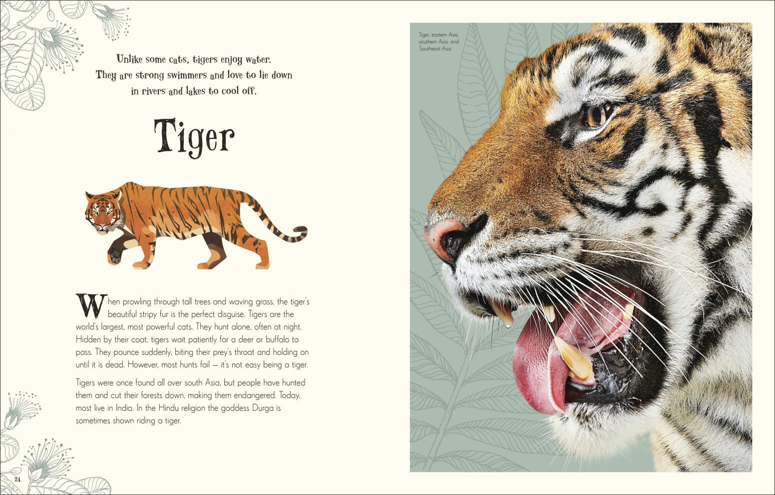 An Anthology of Intriguing Animals