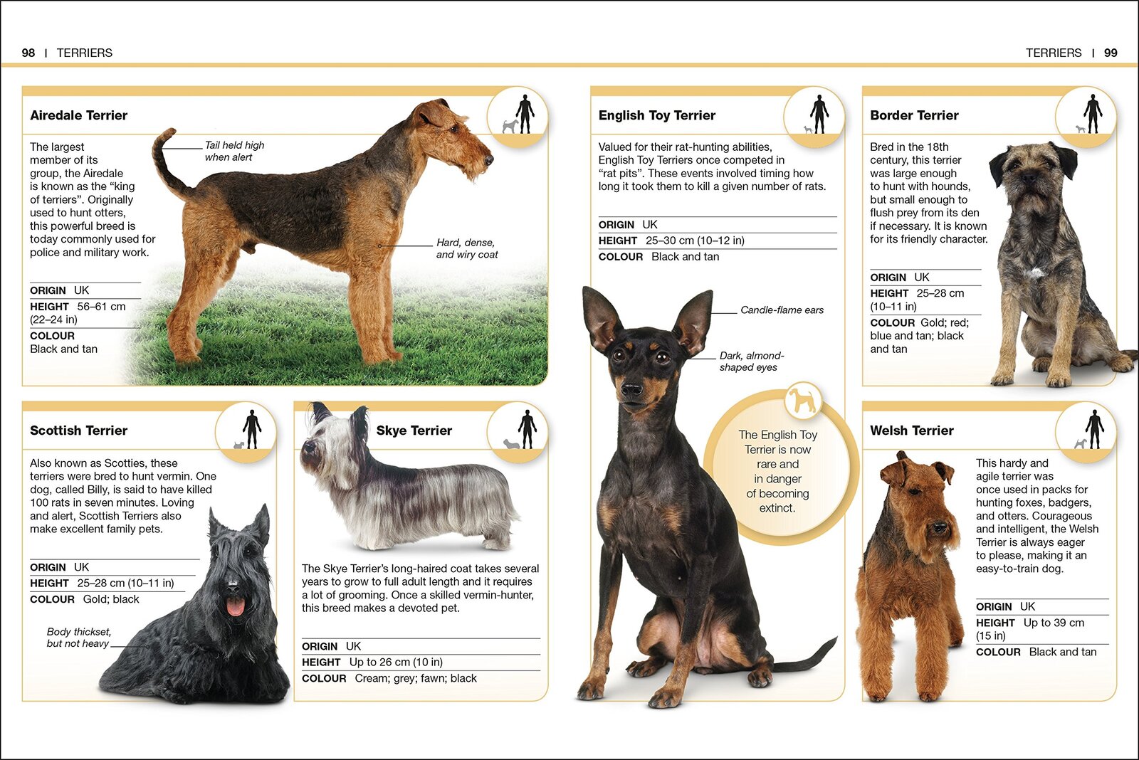 Pocket Eyewitness Dogs