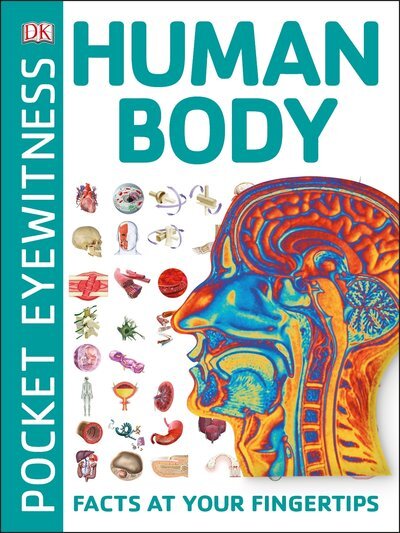 Pocket Eyewitness Human Body