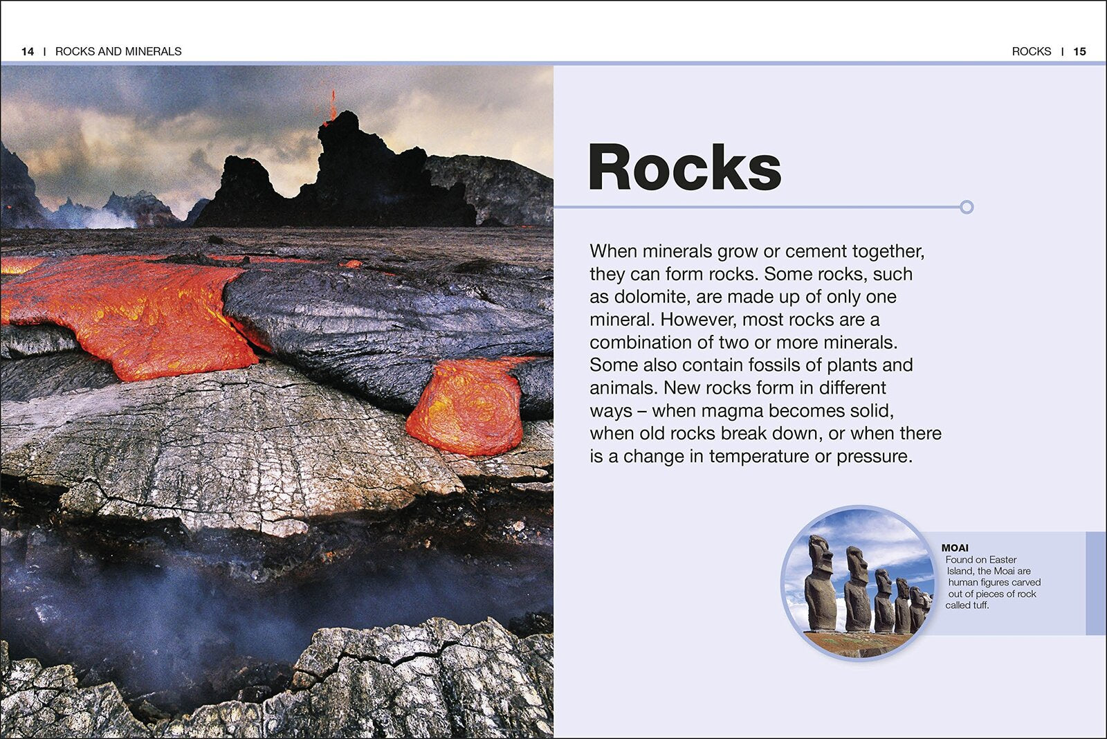 Pocket Eyewitness Rocks and Minerals