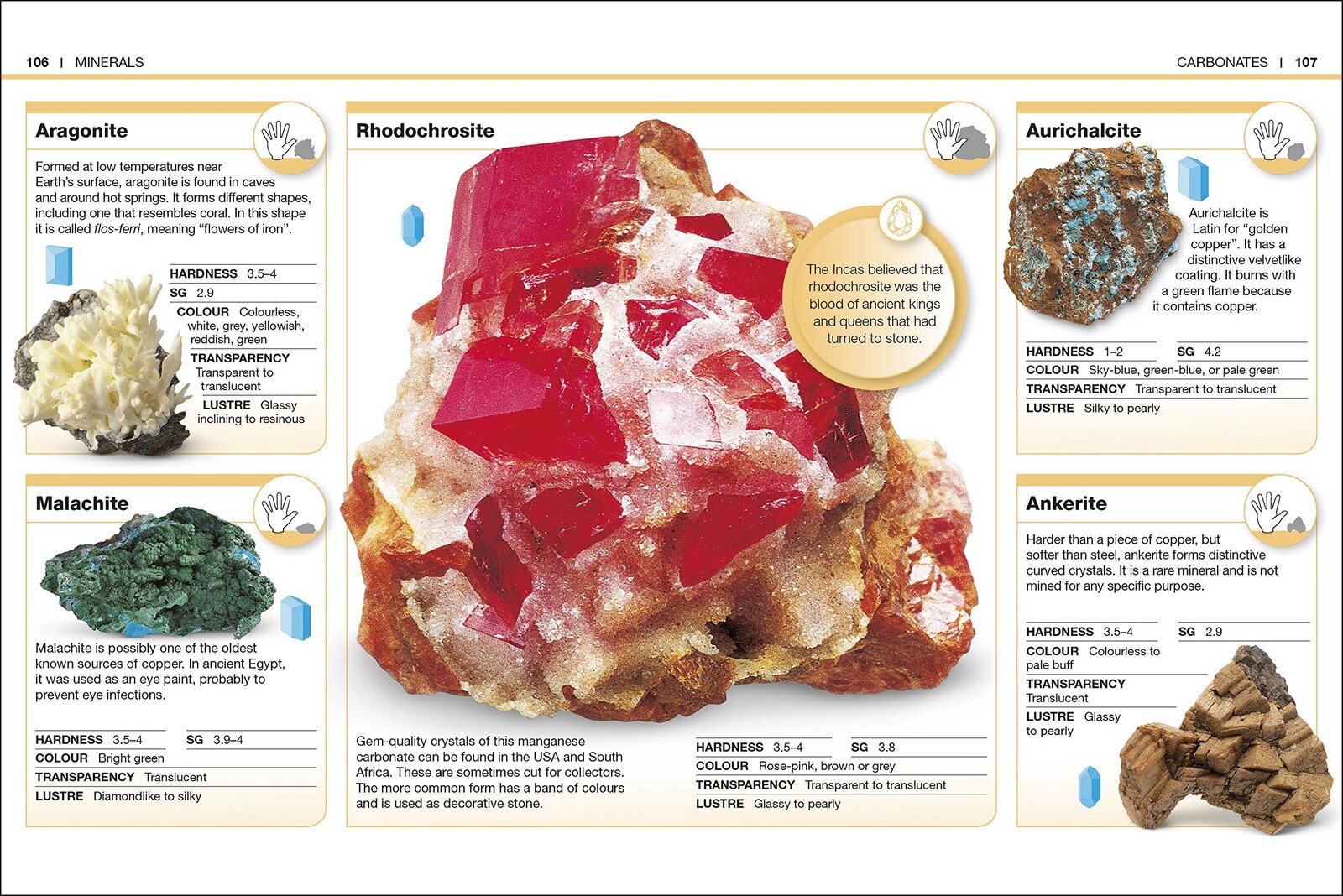 Pocket Eyewitness Rocks and Minerals