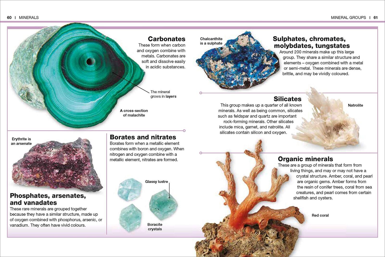 Pocket Eyewitness Rocks and Minerals