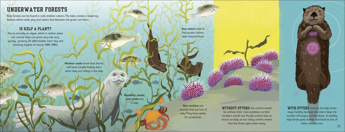 The Sea Book
