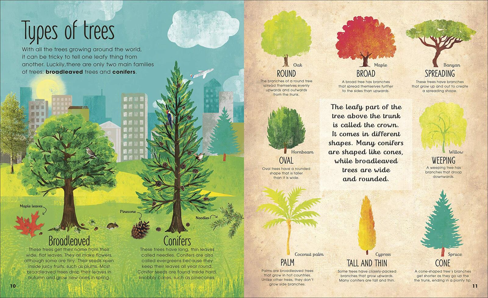 RHS The Magic and Mystery of Trees
