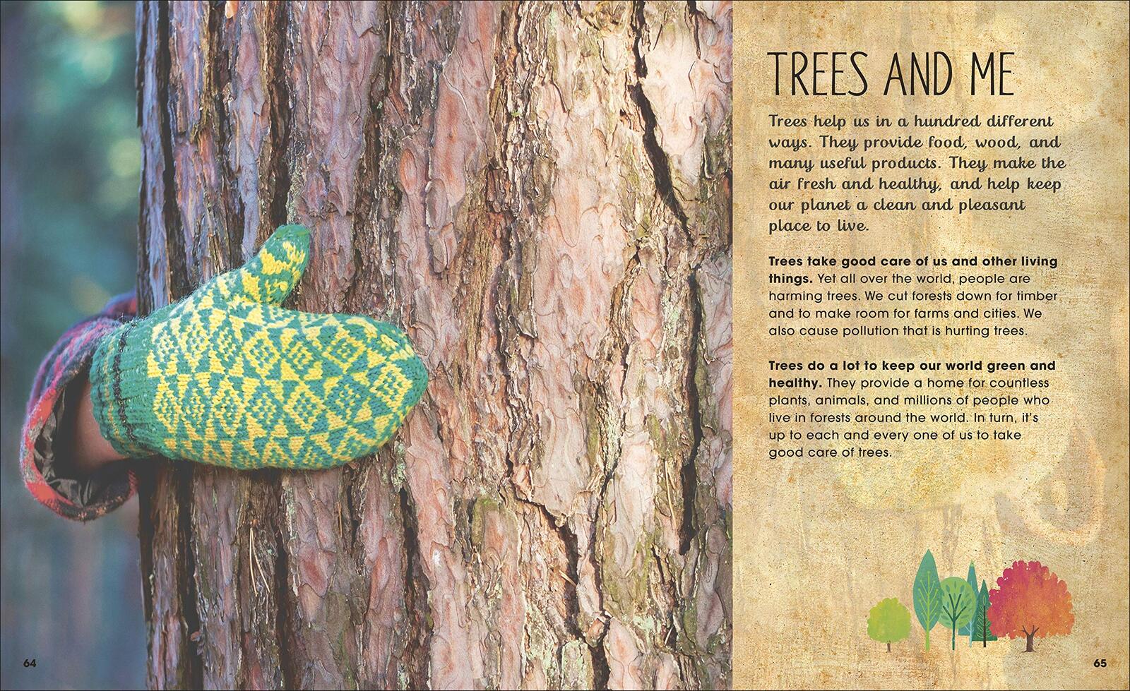 RHS The Magic and Mystery of Trees