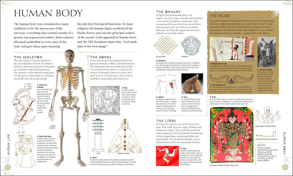 Signs & Symbols