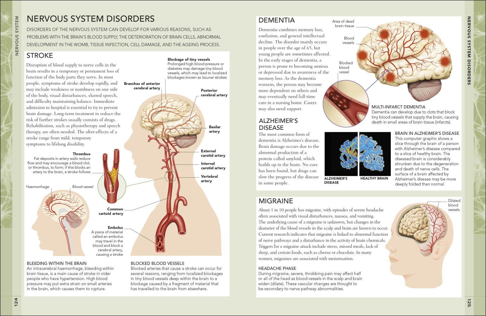 The Concise Human Body Book