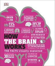 How the Brain Works