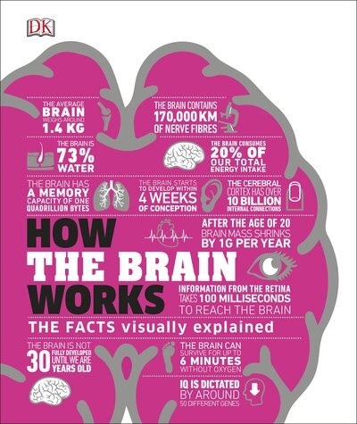 How the Brain Works