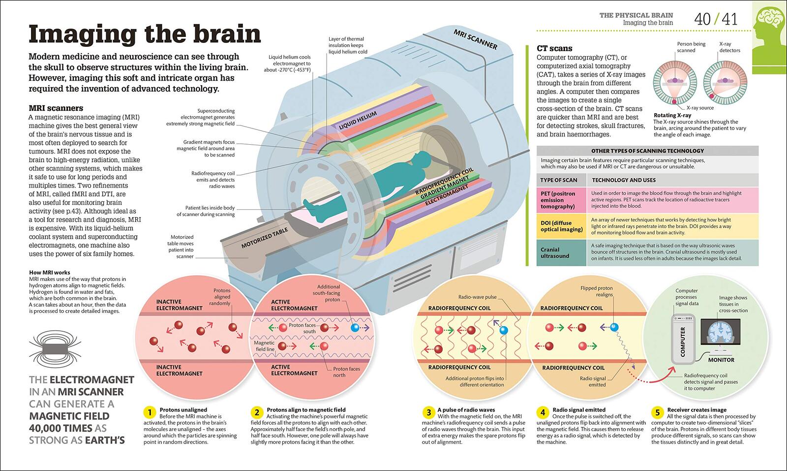 How the Brain Works