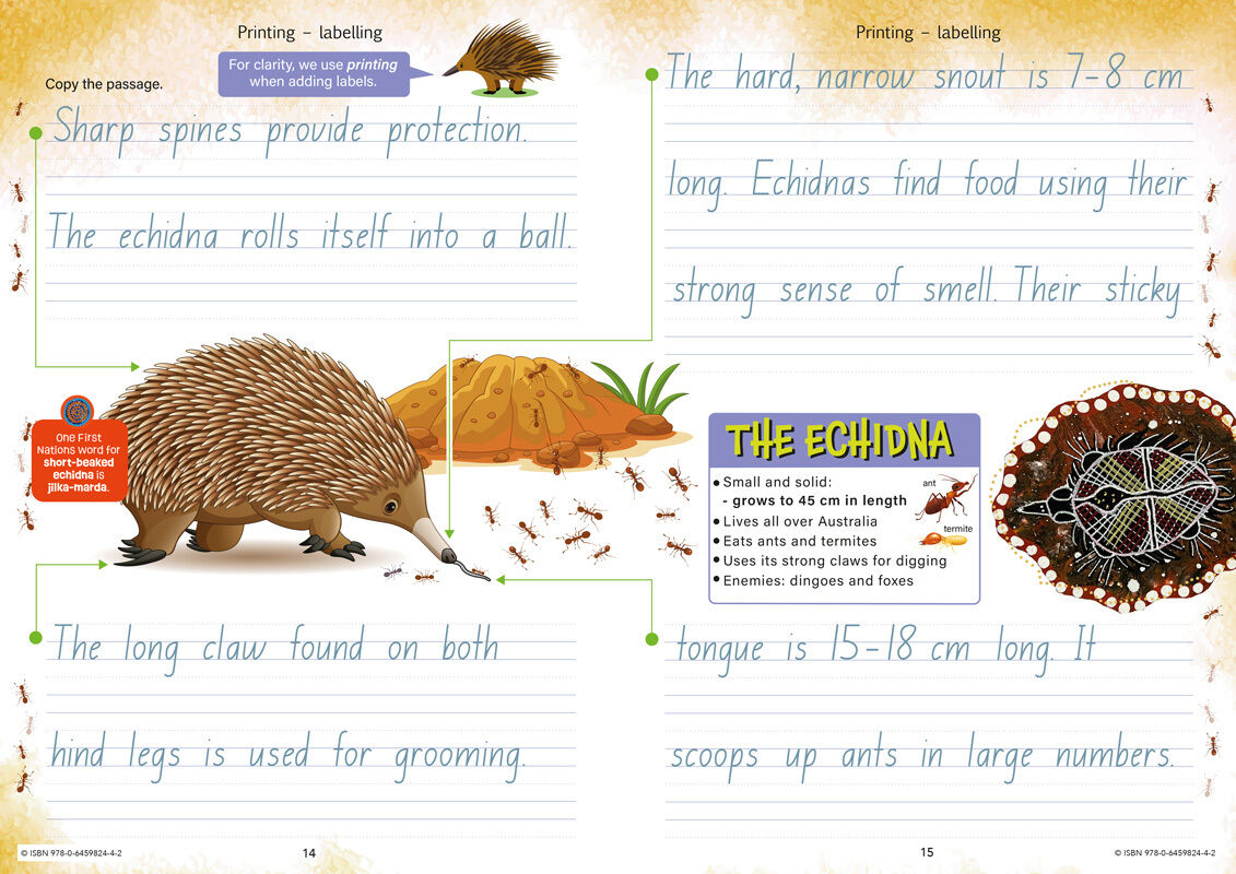 Reflective Handwriting Year 3 Foundation