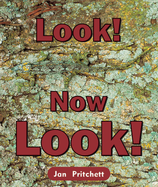 Rigby Literacy - Emergent Level 1: Look! Now Look! (Reading Level 1 / F&P Level A)