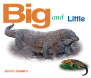 Rigby Literacy - Emergent Level 4: Big and Little (Reading Level 3 / F&P Level C)