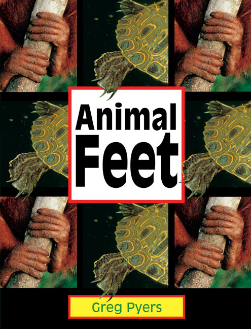 Rigby Literacy - Early Level 2: Animal Feet (Reading Level 6 / F&P Level D)