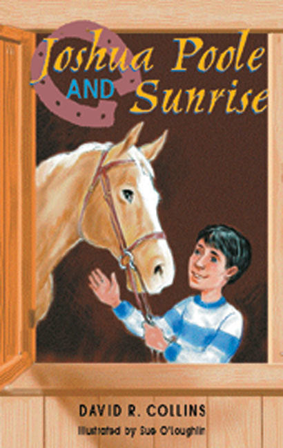 Rigby Literacy - Fluent Level 2: Joshua Poole and Sunrise (Reading Level 15-19 / F&P Level I-K)