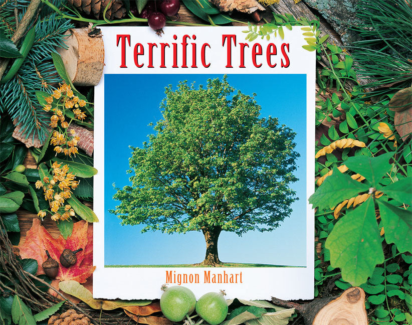 Rigby Literacy - Fluent Level 1: Terrific Trees (Reading Level 14 / F&P Level H)