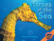 Rigby Literacy Collections - Level 4, Phase 5: Horses of the Sea (Reading Level 29-30 / F&P Levels T-U)
