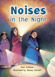 Rigby Literacy Collections (Take-Home Library) - Middle Primary: Noises in the Night (Reading Level 22 / F&P Level M)