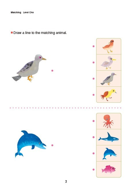 K & Up Thinking Skills Bind Up