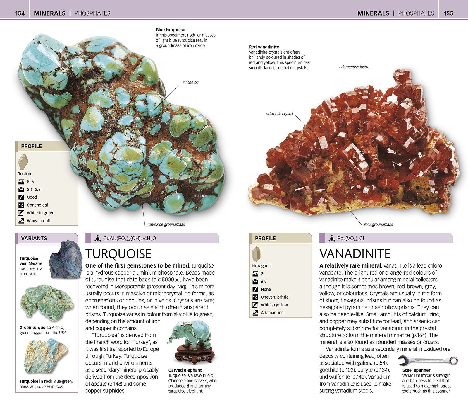 Nature Guide - Rocks and Minerals