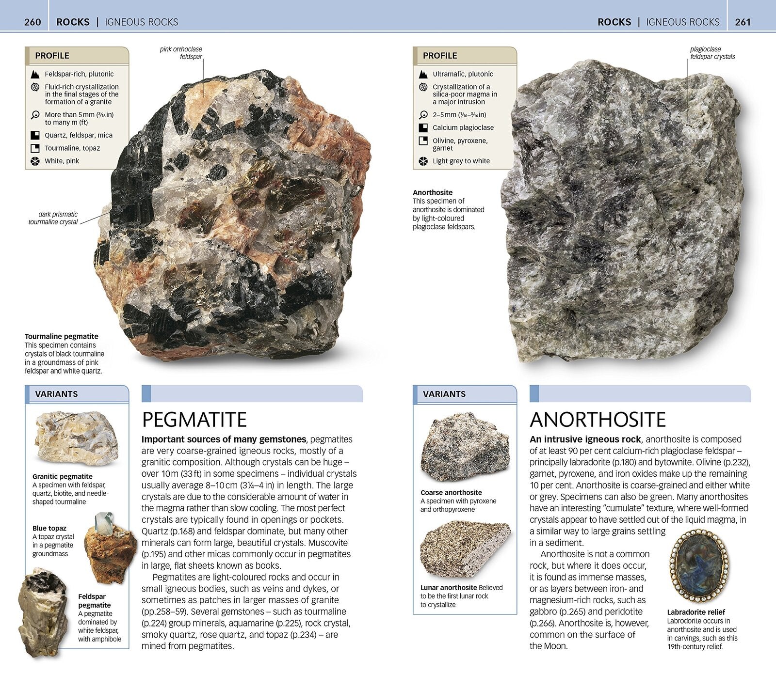 Nature Guide - Rocks and Minerals