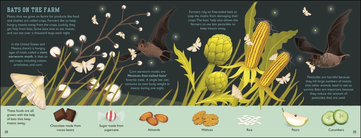 The Animal Book