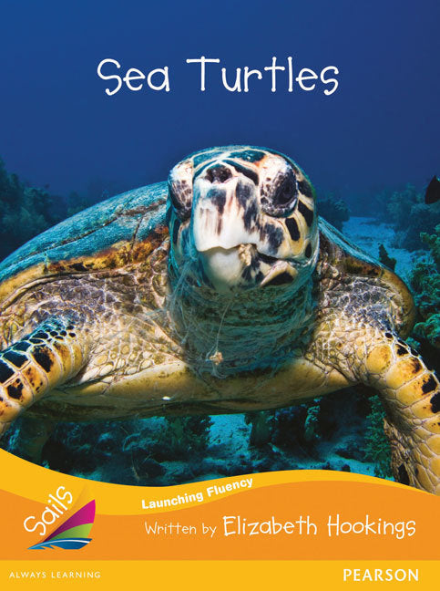 Sails - Additional Fluency (Orange):Sea Turtles (Reading Level 16 / F&P Level I)