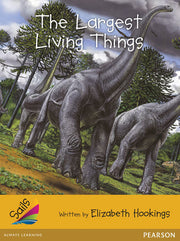 Sails - Additional Fluency (Gold): The Largest Living Things (Reading Level 21-22 / F&P Level L-M)