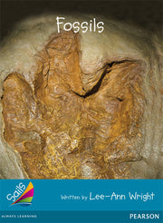 Sails - Additional Fluency (Turquoise): Fossils (Reading Level 17-18 / F&P Level J)