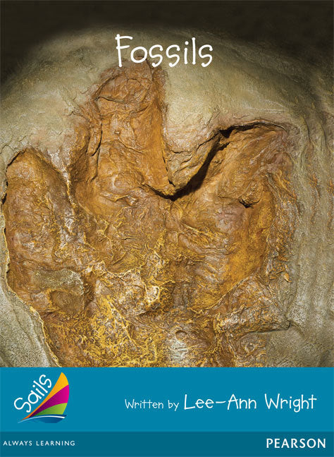 Sails - Additional Fluency (Turquoise): Fossils (Reading Level 17-18 / F&P Level J)