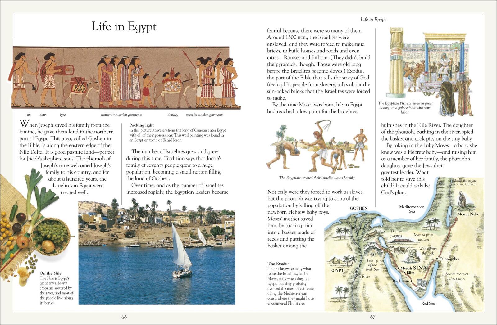 The Children's Illustrated Jewish Bible