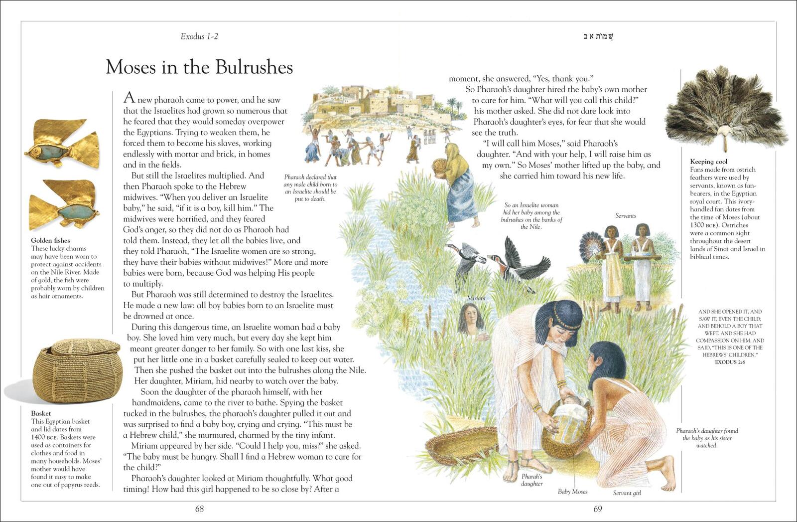 The Children's Illustrated Jewish Bible