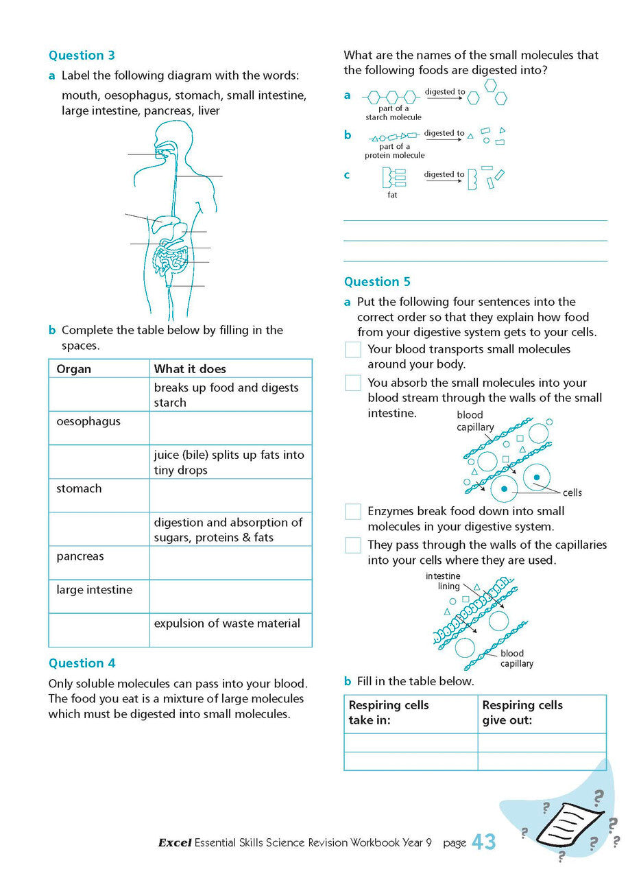 Excel Essential Skills - Science Revision Workbook: Year 9