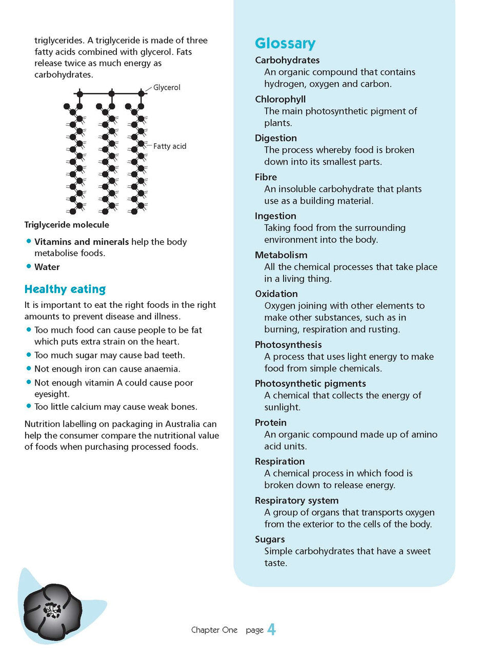 Excel Essential Skills - Science Revision Workbook: Year 9