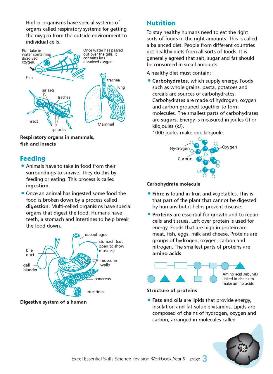 Excel Essential Skills - Science Revision Workbook: Year 9