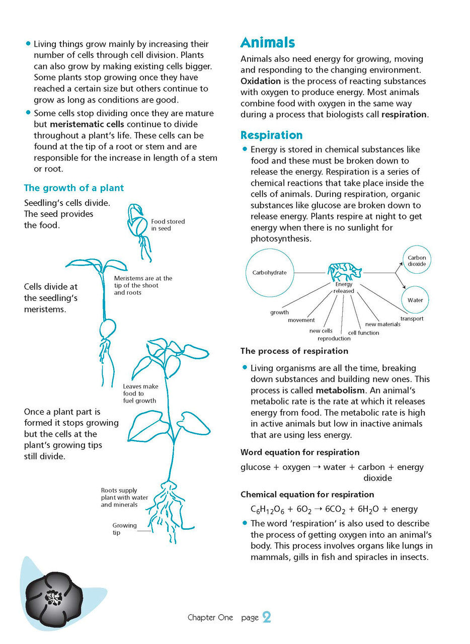 Excel Essential Skills - Science Revision Workbook: Year 9
