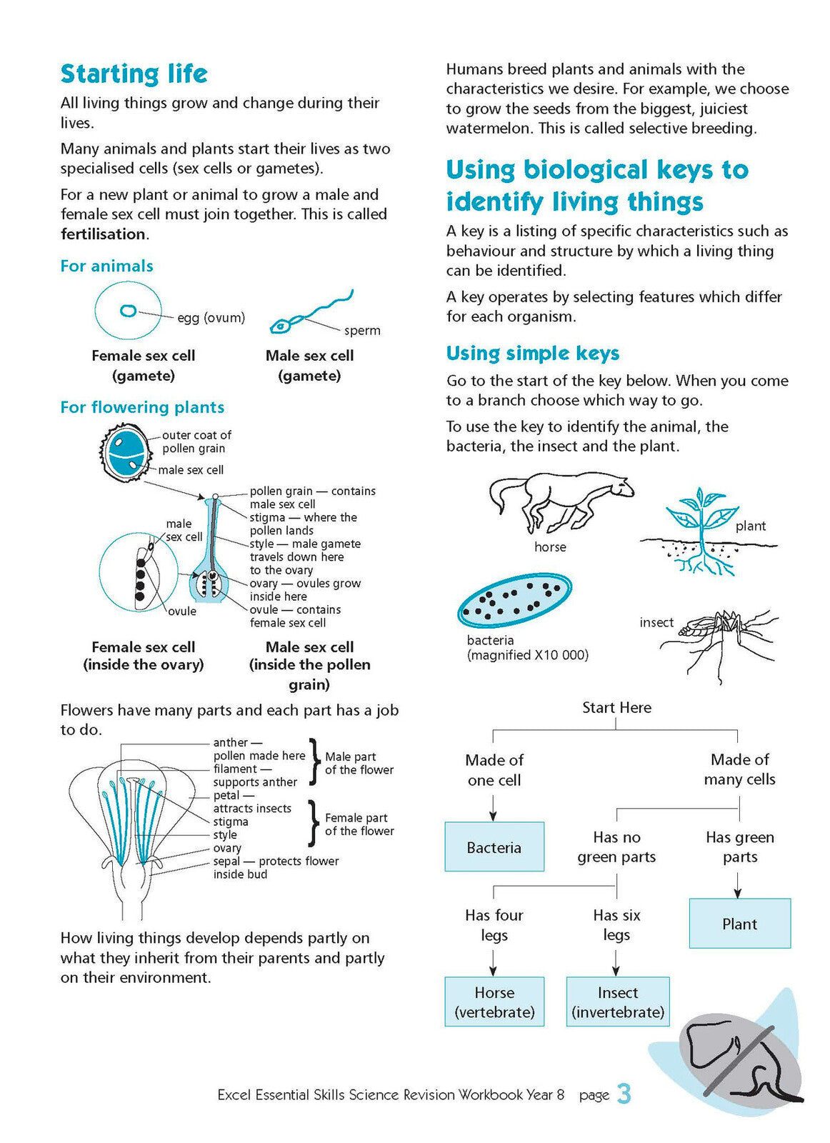 Excel Essential Skills - Science Revision Workbook: Year 8