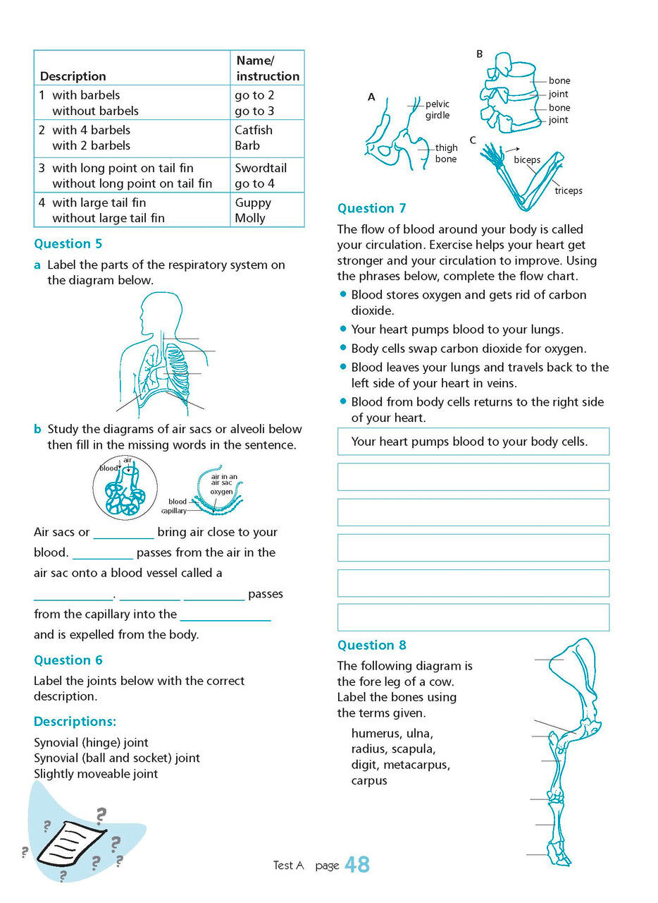 Excel Essential Skills - Science Revision Workbook: Year 8