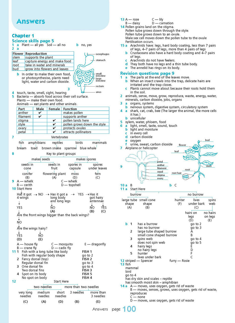 Excel Essential Skills - Science Revision Workbook: Year 8